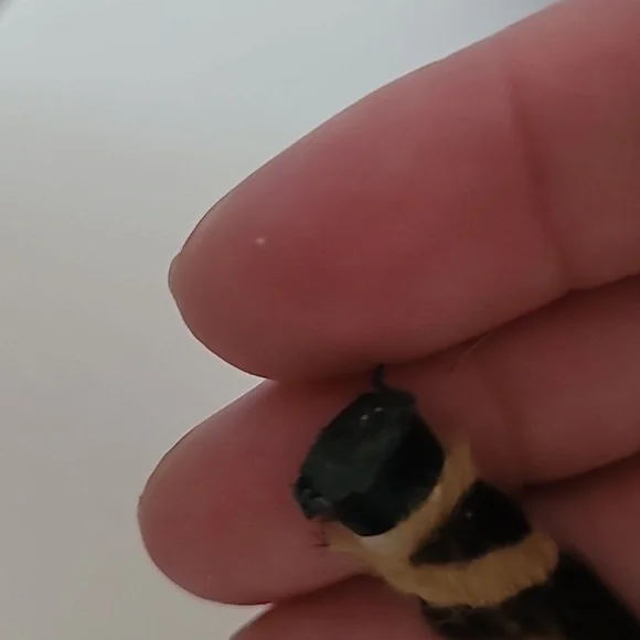 Charlotte Olympia 🐆 Heels - Picture 7 of 7